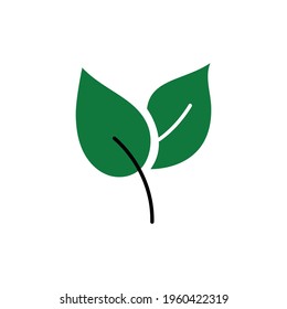Eco leaves, logo, icon, template and design elements on white isolated background in green color. Vector illustration.