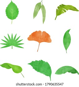 Eco Leaves in Modern Flat Style Pack 