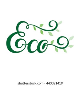 "Eco" lettering based on calligraphy inscription. Hand drawn lettering with decorative design elements in sketch style, vector EPS-8.