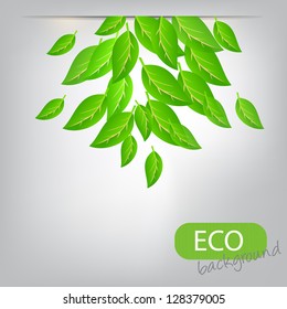 eco leves background. vector illustration