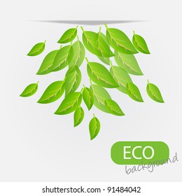 eco leves background. vector illustration