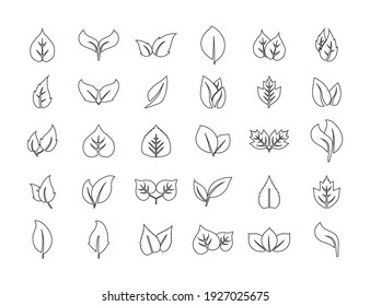 Eco, line, leaves icon set. Vector illustration.