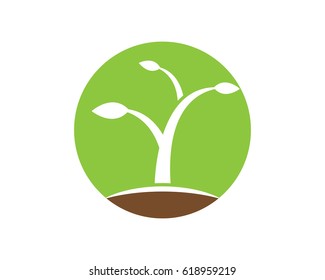 Eco logo