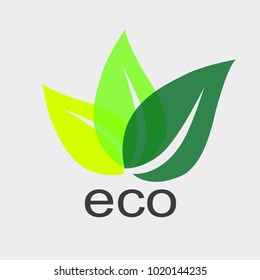 Eco logo design leaf icon