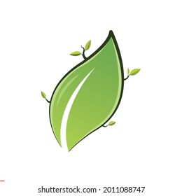 Eco Logo Design Template For Business And Company
