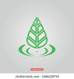 Eco logo green leaf icon isolated on white background. Vector icon.