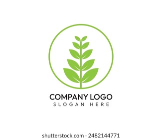 Eco Logo, Leaf Logo, Eco Health Logo, Eco Brand Logo,