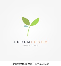 Eco logo, leaf icon. Design template elements