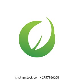 Eco logo with leaf nature template icon vector