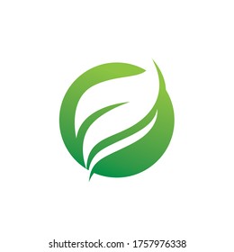Eco logo with leaf nature template icon vector