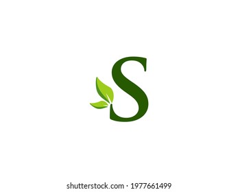 Eco logo letter S, Leaf logo initial S , nature logo. vector