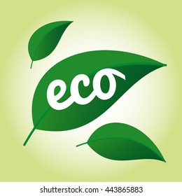 Eco logo on green leaf, isolated vector icon