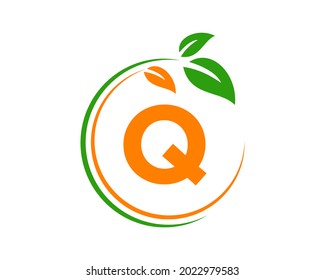 Logotipo ecológico con concepto de letra Q. Letra Q logotipo natural ecológico