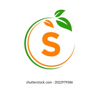 Eco Logo with S letter concept. S letter Eco healthy natural logo