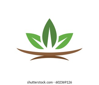 Eco logo template