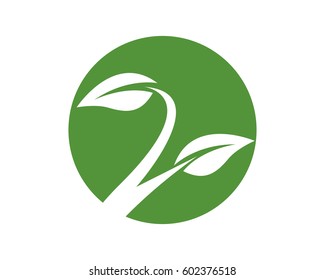 Eco logo template