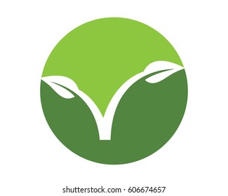 Eco logo template