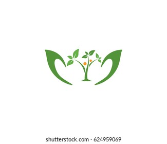 Plantilla de logotipo ecológico