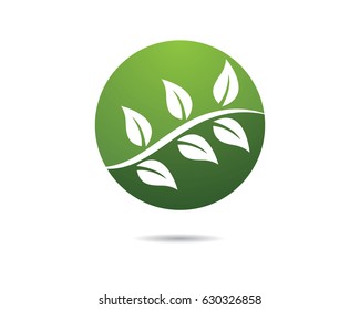 Eco logo template