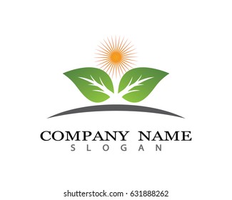 Eco logo template