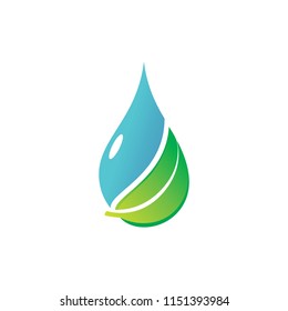 eco Logo Template vector icon illustration design