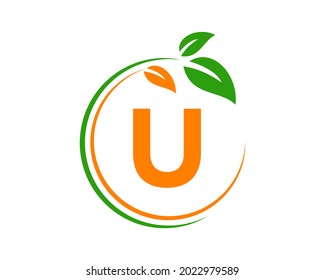 Eco Logo with U letter concept. U letter Eco healthy natural logo