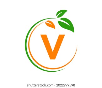 Eco Logo with V letter concept. V letter Eco healthy natural logo