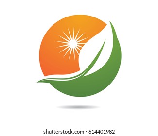 Eco logo vector illustration