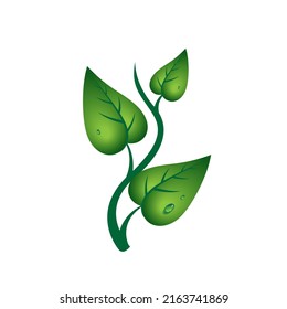 Eco logotype green leave. Environment protect. Fresh and nature illustration. Vegan and vegetation.