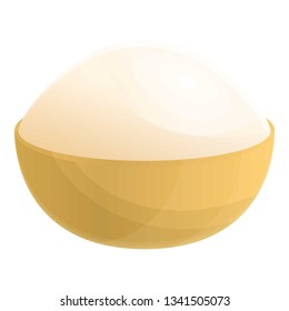Eco longan icon. Cartoon of eco longan vector icon for web design isolated on white background