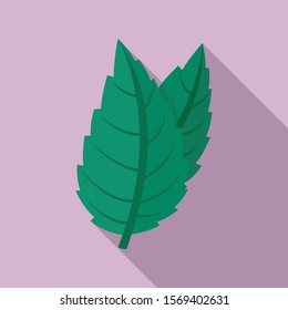 Eco mint icon. Flat illustration of eco mint vector icon for web design