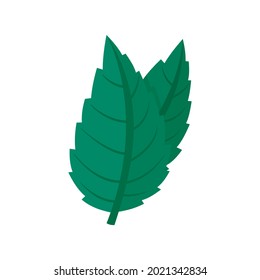 Eco mint icon. Flat illustration of eco mint vector icon isolated on white background