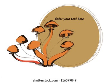 eco mushroom banner