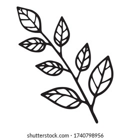 Icono de árbol de hoja de bifurcación natural ecológica. Ilustración dibujada a mano del icono del vector de la hoja de bifurcación natural ecológica para el diseño web