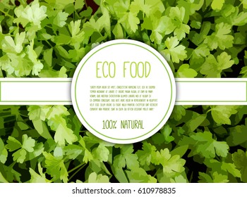 Eco, Natural, Organic Food Vector Background. Place Your Text Or Logo Here.