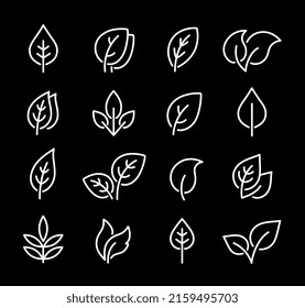 eco natural outlined set of black line leaf icons and branches on white background