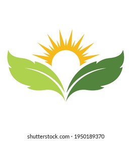 Eco Natural Sun leaf green nature symbol template Vector