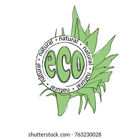 Eco natural vector logo design