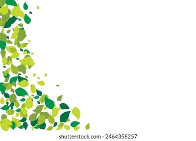 Eco nature Leaf Background concept Vector Illustration
