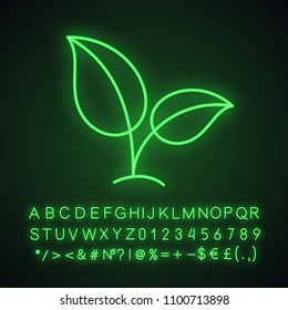 Eco neon light icon. Ecology. Growing plant with leaves. Glowing sign with alphabet, numbers and symbols. Vector isolated illustration
