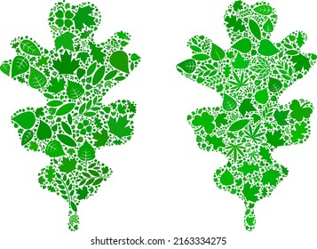 Eco oak leaf icon mosaic of herbal leaves in green and natural color tinges. Ecological environment vector concept for oak leaf icon. Oak leaf vector image is formed of green herbal items.
