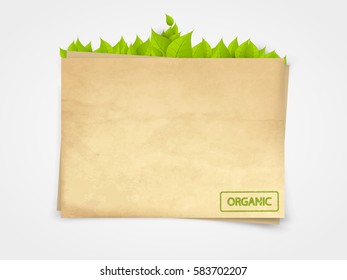 Composición de Vector orgánico ecológico sobre fondo de papel
