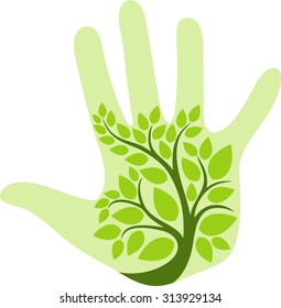 eco palm