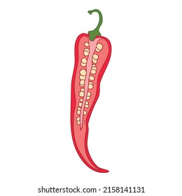 Eco pepper icon outline, hand drawn vector. Red cartoon. Paprika spicy
