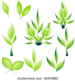 Eco plan, leaves icon design set vector