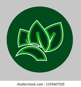 eco planet icon