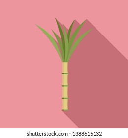 Eco plant cane icon. Flat illustration of eco plant cane vector icon for web design