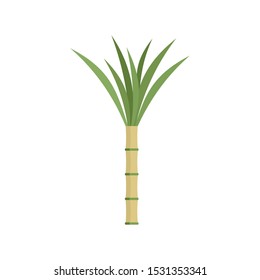 Eco plant cane icon. Flat illustration of eco plant cane vector icon for web design