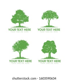 Eco Plant Care Arborist Tree Removal And Forestry Service. Gardening And Landscape Design Creative Organic Vector Sign