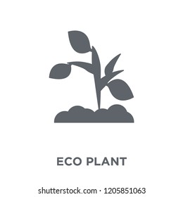 eco Plant icon. eco Plant design concept from Ecology collection. Simple element vector illustration on white background.